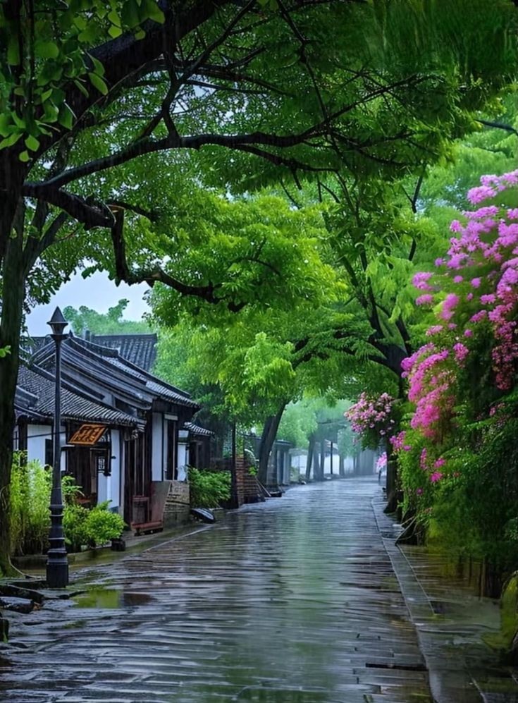 Trùng Sinh Về Làng – Trả Nợ Kiếp Xưa